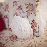 Hotel La Clairiere